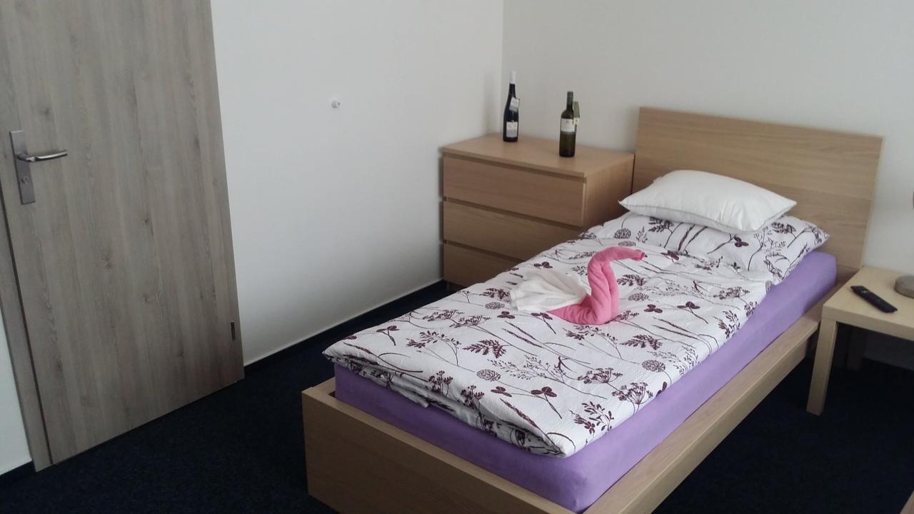 Ubytovani Nemcicky Buitenkant foto